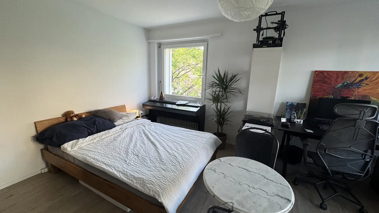 Appartamento in affitto - Schaffhauserstrasse 443, 8050 Zürich