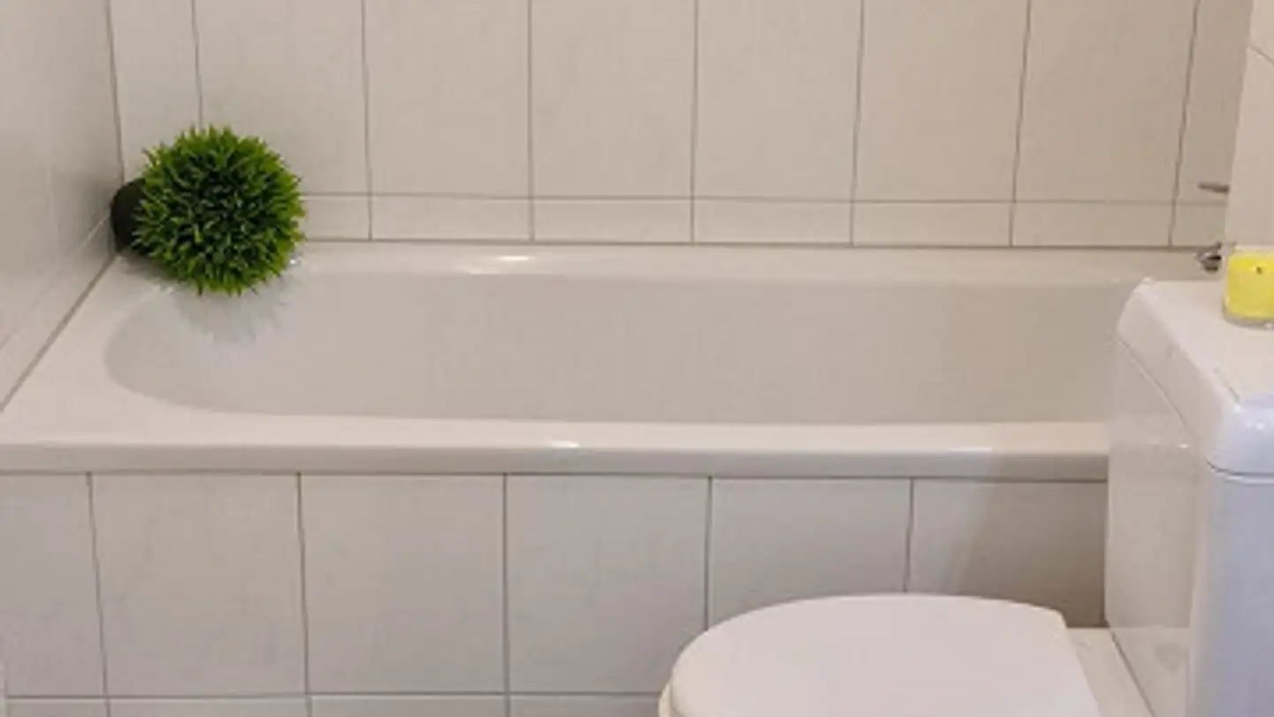 Appartamento in affitto - 8864 Reichenburg - Foto 3