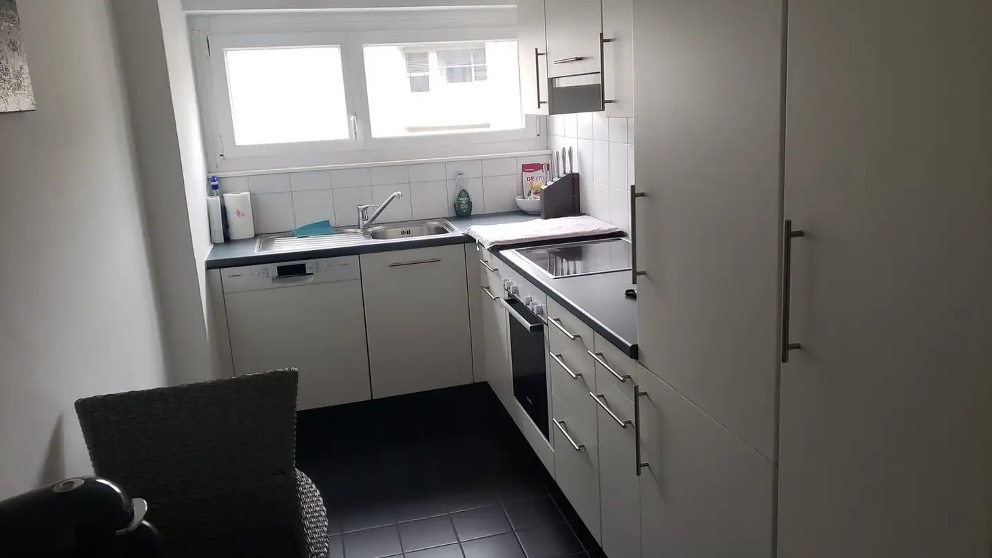 Attico in affitto - Via Gaggini Da Bissone 16, 6900 Lugano - Foto 3