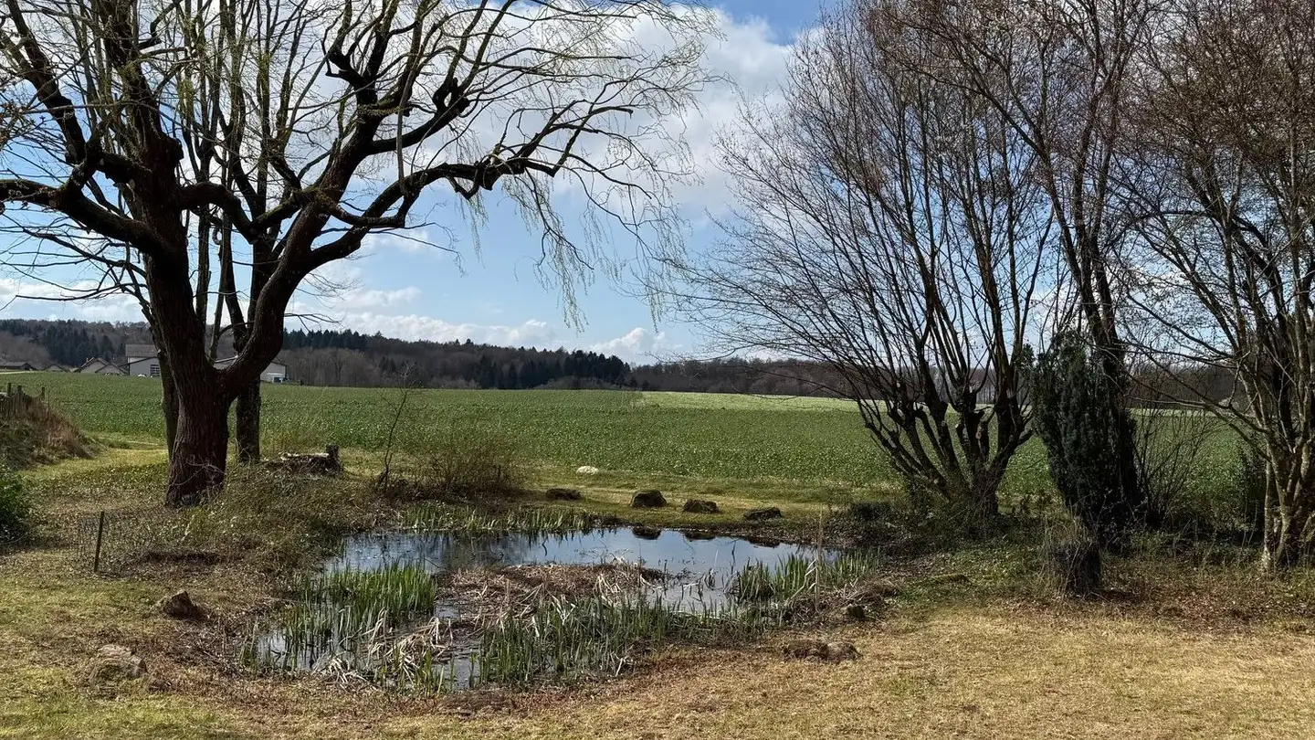 Single house for sale - 1054 Morrens VD - Photo 4