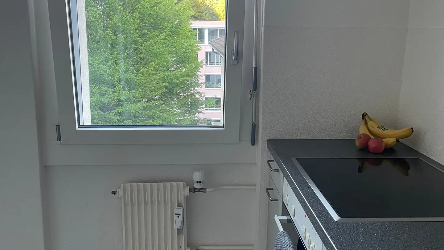 Appartement à louer - Brunnhalde 5a, 6006 Luzern - Photo 3