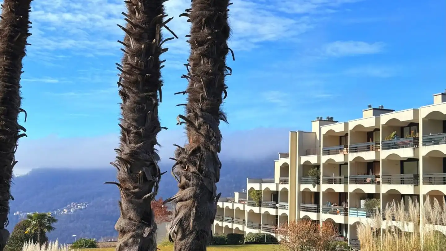 Furnished apartment for sale - Via Roigo, 6965 Cadro - Photo 2