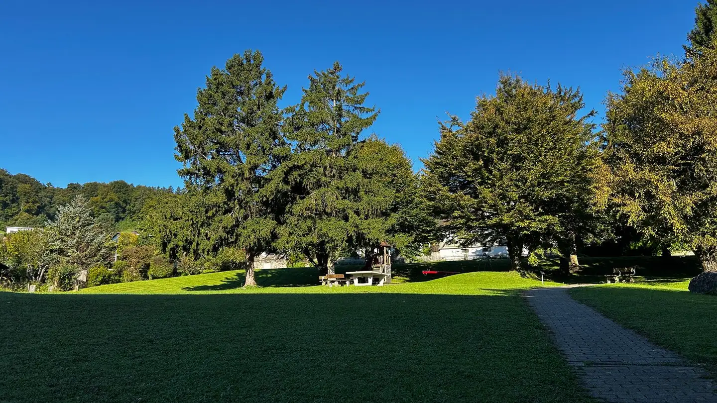 Appartamento in affitto - Untere Dorfstrasse 15, 8964 Rudolfstetten