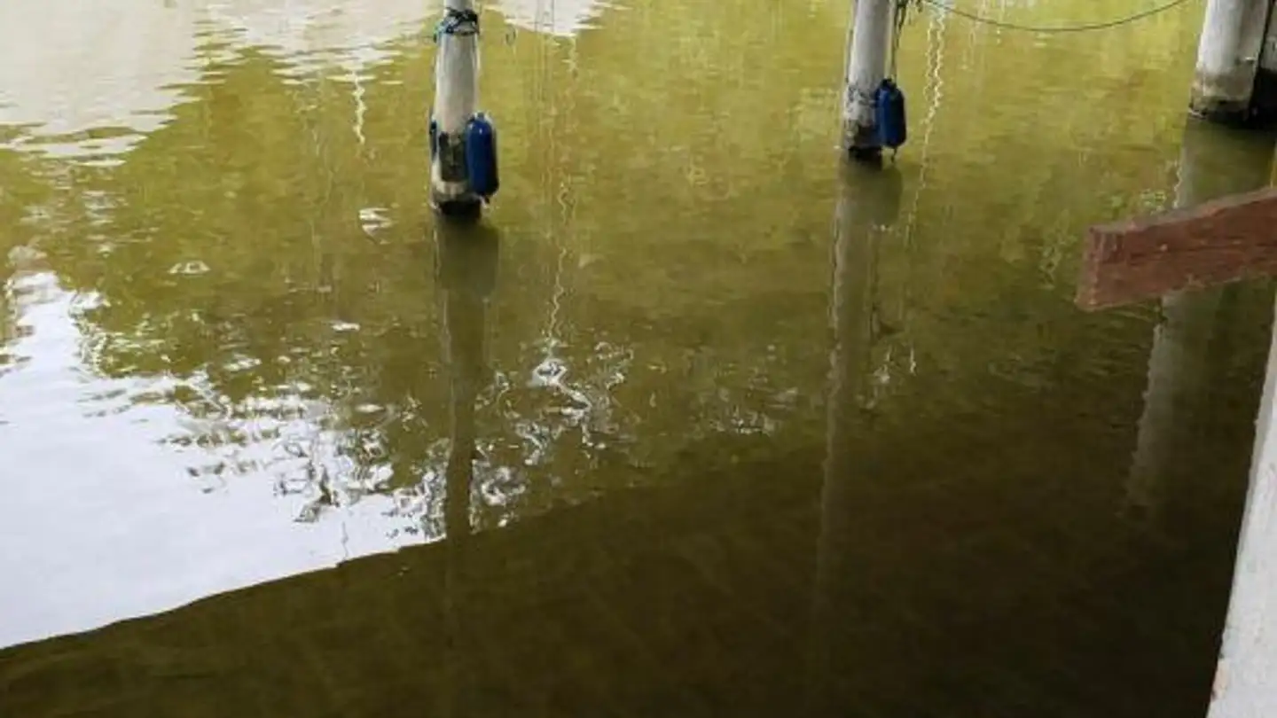 Immeuble résidentiel à vendre - Seewiesenstrasse, 9322 Egnach - Photo 2