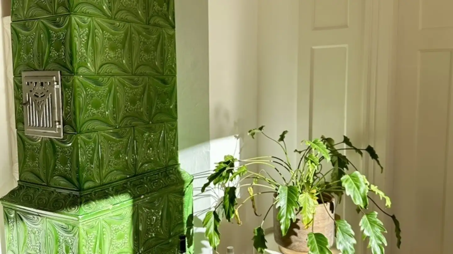 Stanza singola in affitto - 9000 St. Gallen - Foto 4