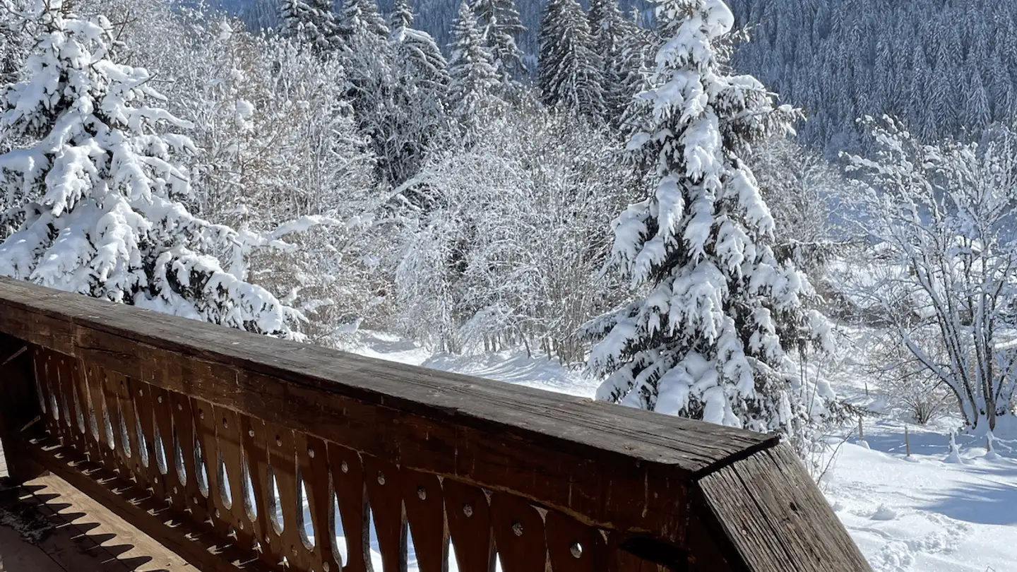 Chalet in affitto - 1865 Les Diablerets - Photo 2