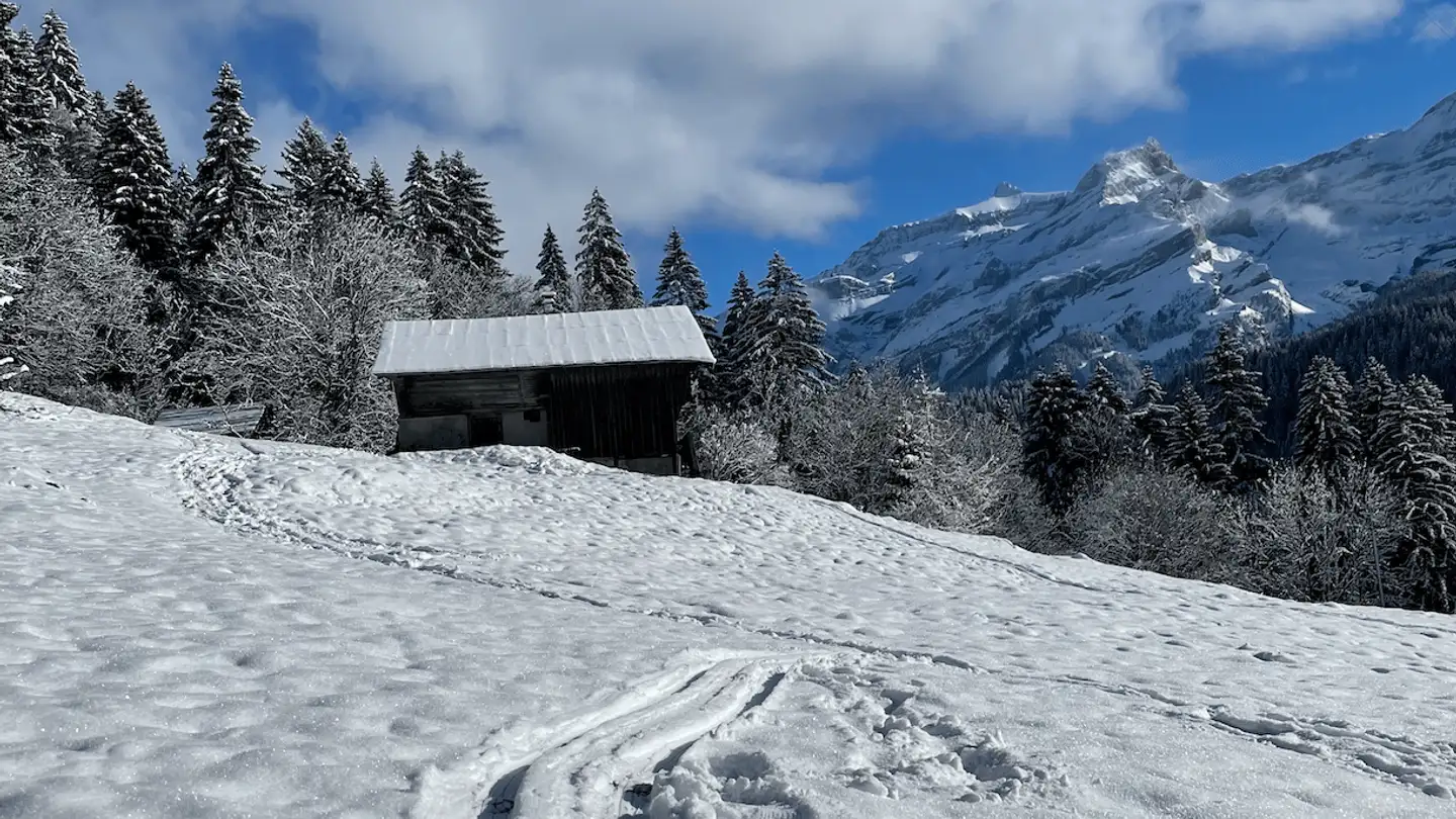 Chalet in affitto - 1865 Les Diablerets - Photo 3