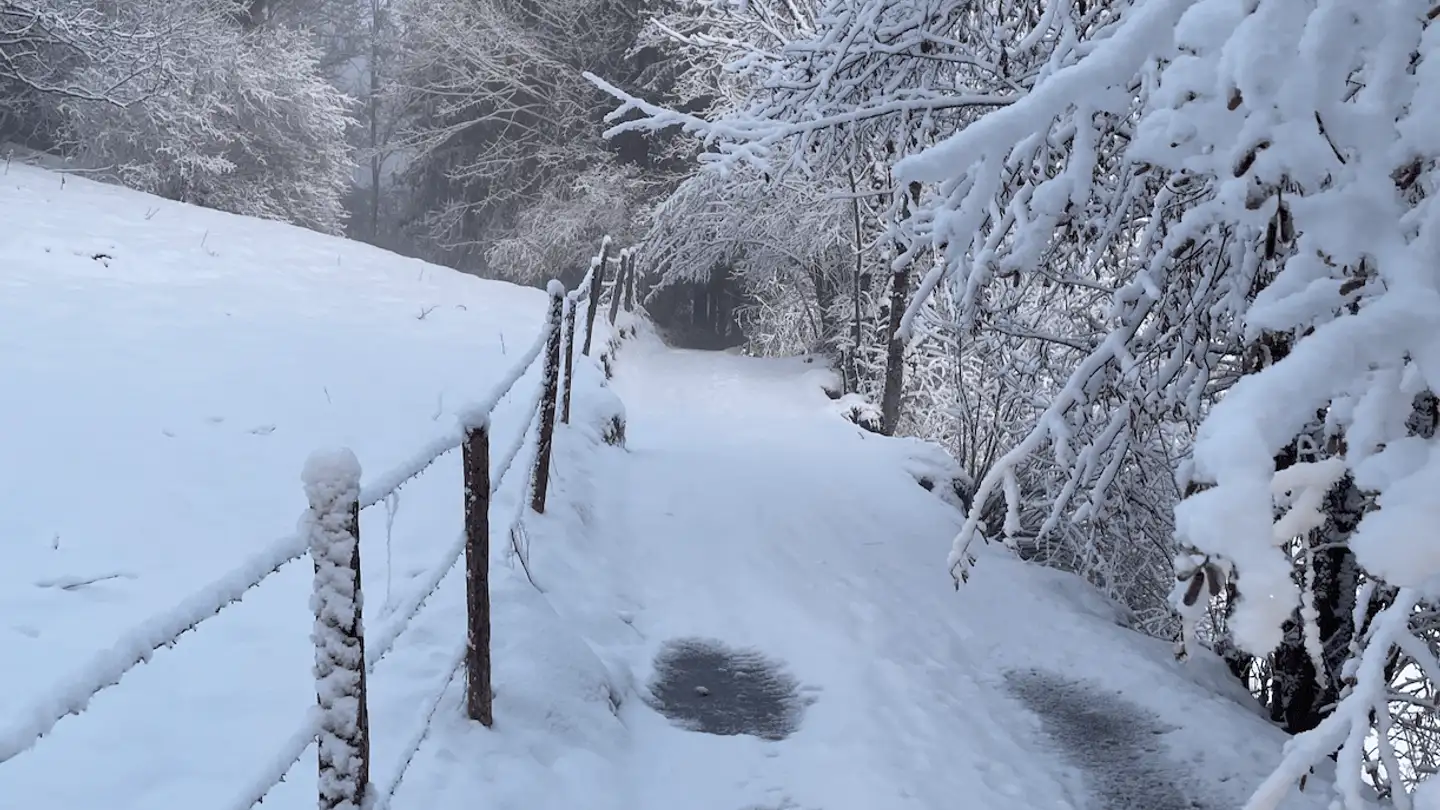 Chalet in affitto - 1865 Les Diablerets - Photo 4