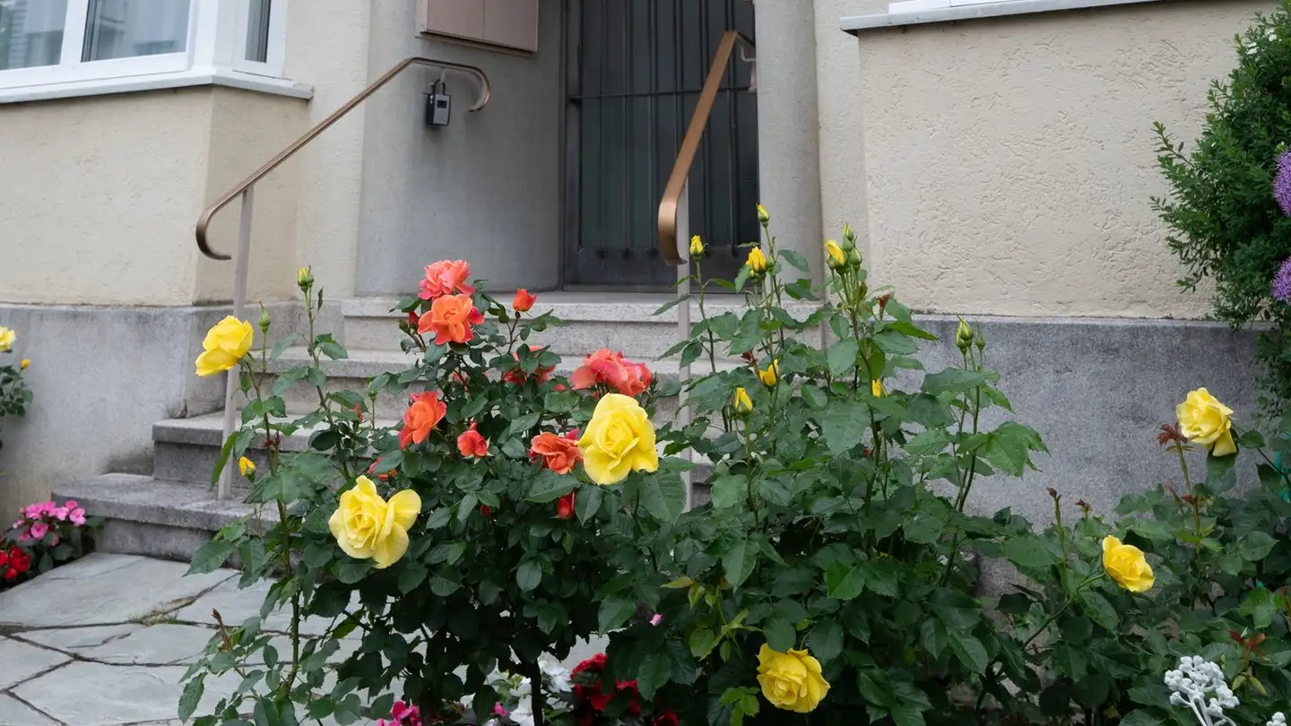 Appartamento in affitto - Nonnenweg 66, 4055 Basel