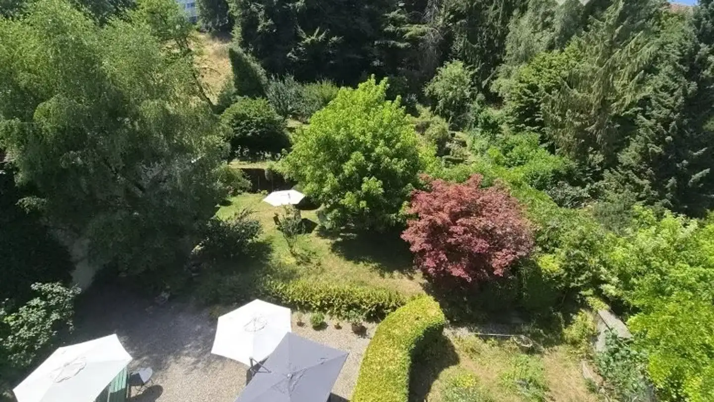 Appartement à louer - Rue De Morat / Murtengasse 59, 1700 Fribourg