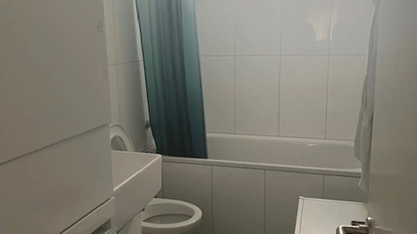 Appartement à louer - Freiestrasse 206, 8032 Zürich - Photo 3