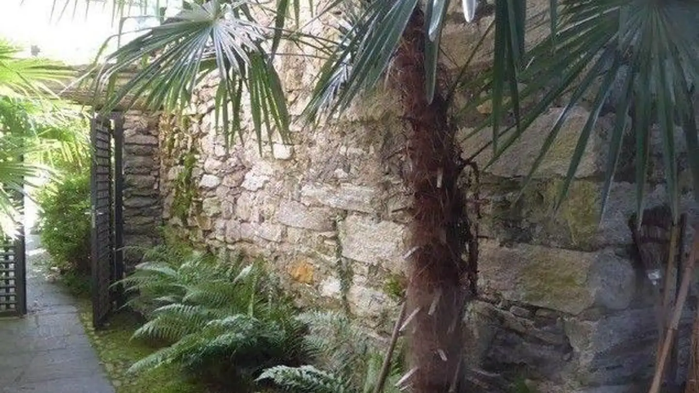 Casa singola in vendita - 6673 Maggia - Photo 3