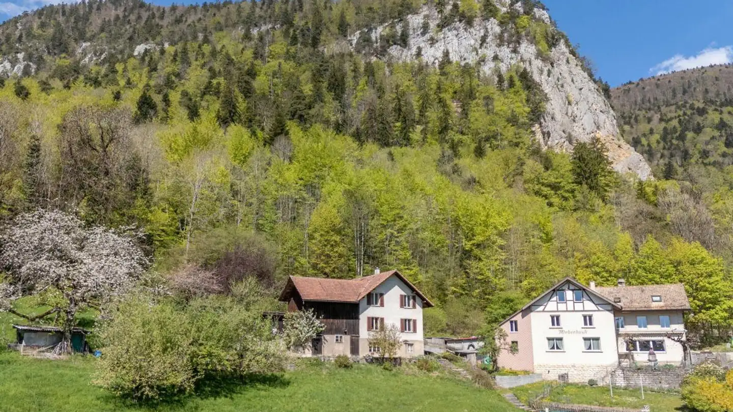 Maison individuelle à vendre - Weissensteinstrasse 197, 4515 Oberdorf SO - Photo 2