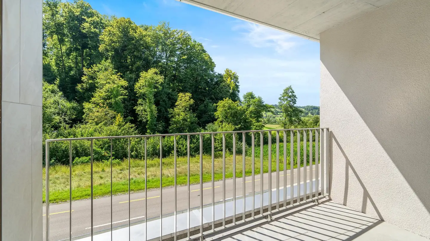 Duplex in vendita - Luzernerstrasse 61, 8903 Birmensdorf ZH - Photo 3