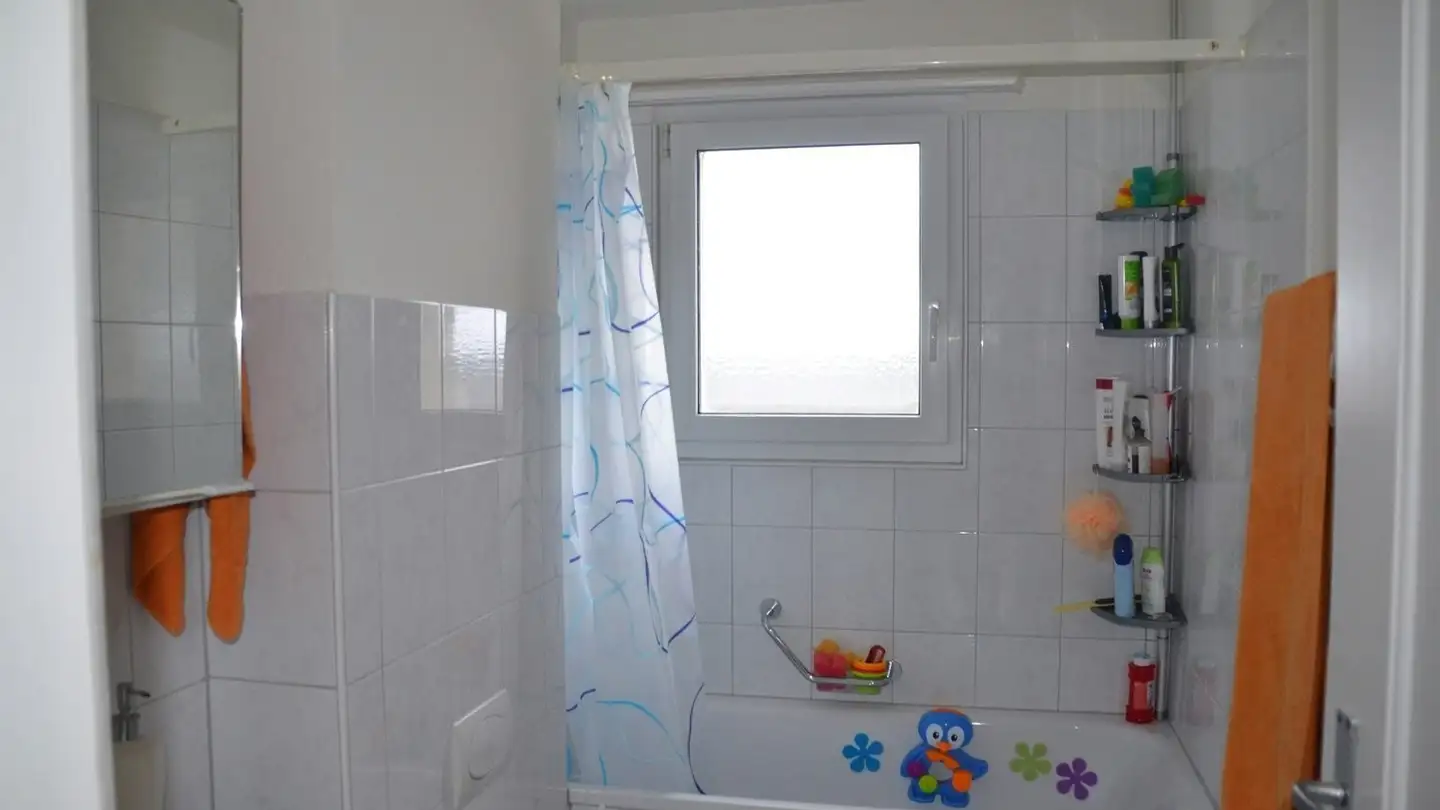 Appartamento in affitto - Berkmüllerstrasse 8, 9545 Wängi - Foto 4