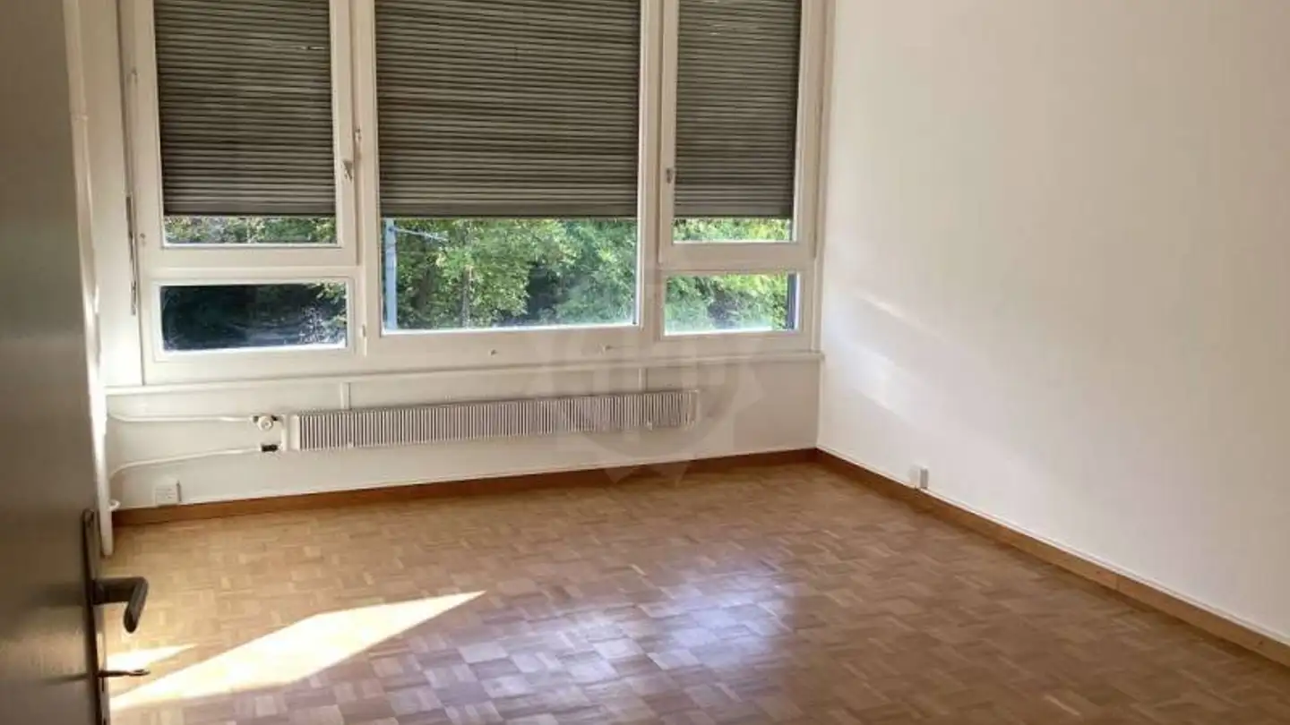 Appartement à louer - Rue De-Livron 15, 1217 Meyrin