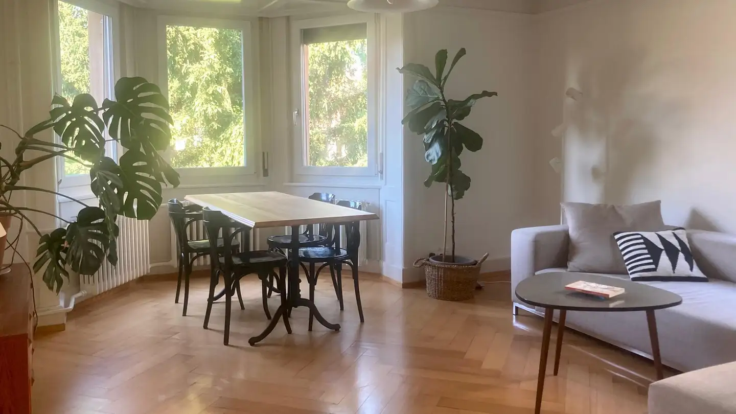 Chambre à louer - 8055 Zürich