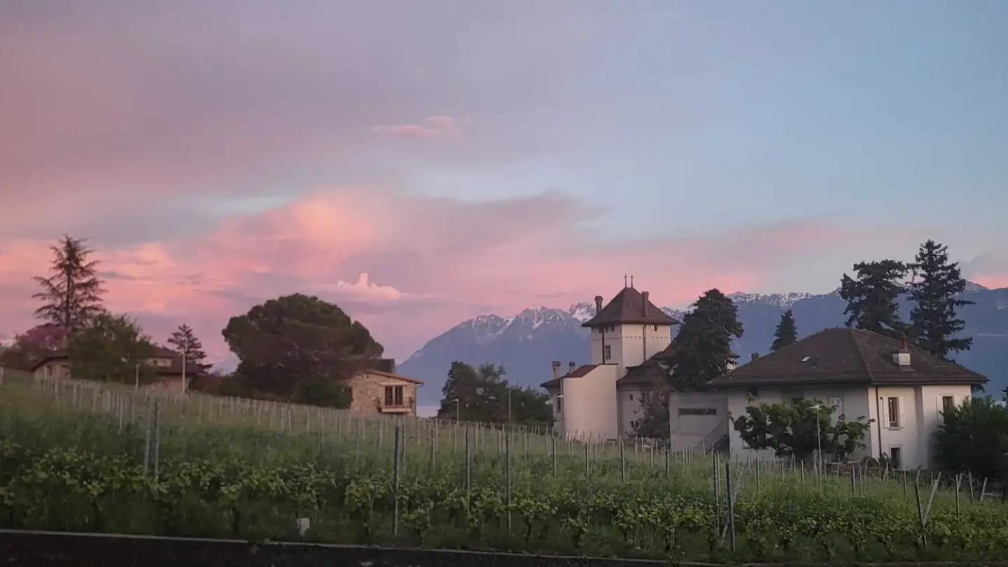 Wohnung mieten - Chemin De La Culturaz, 1095 Lutry - Foto 4