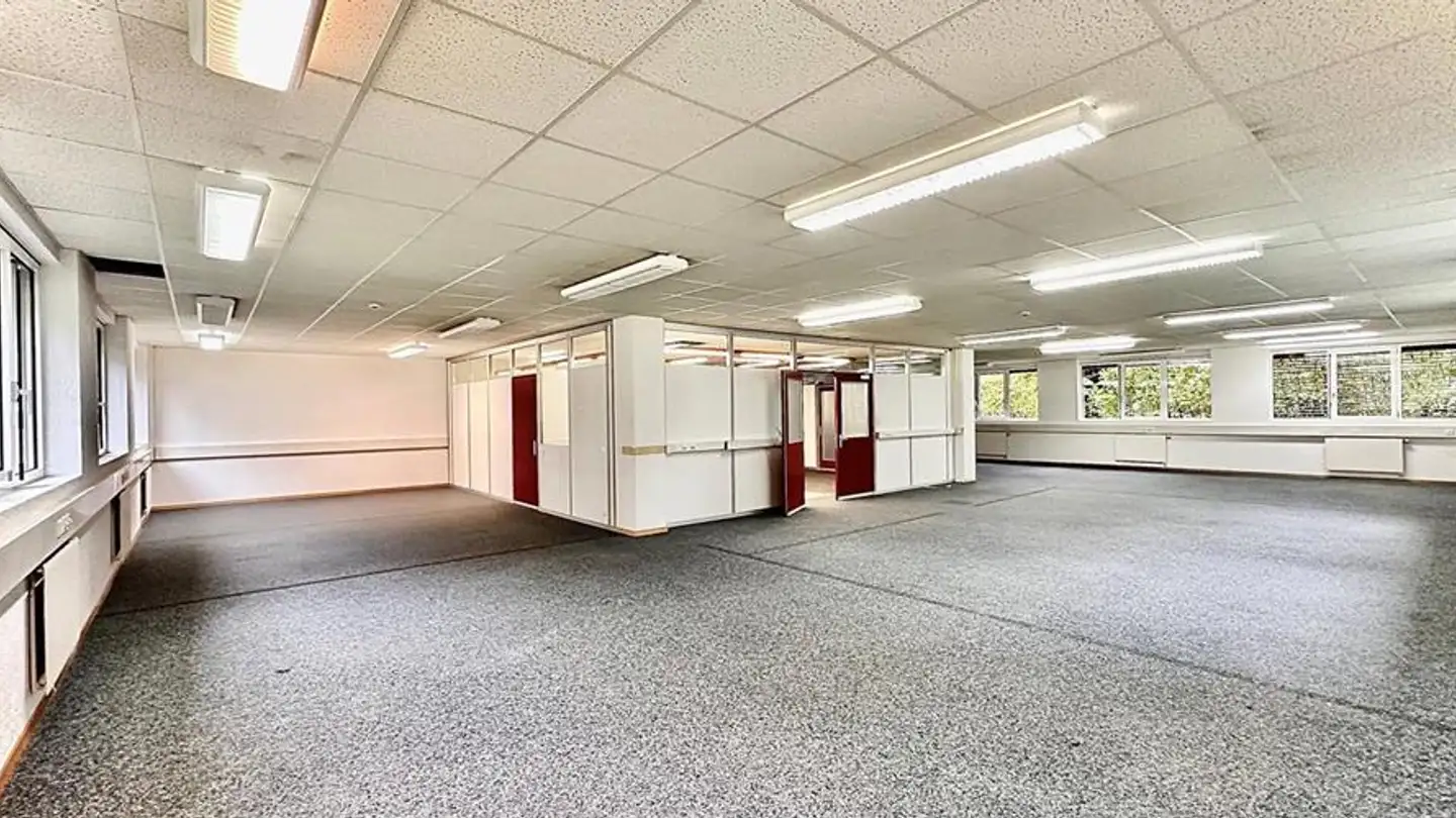 Edificio ad uso misto in affitto - 1010 Lausanne