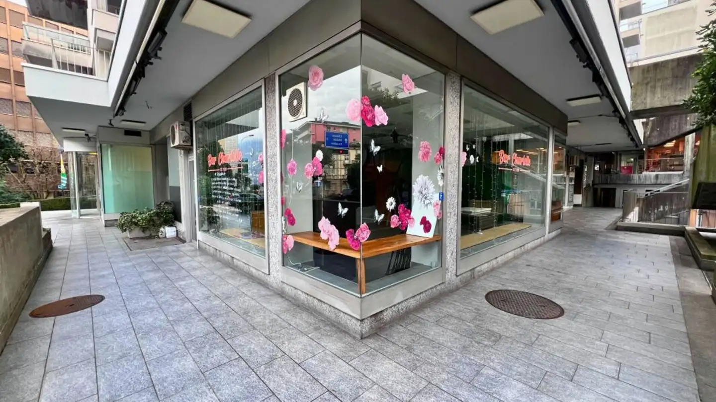 Office space for rent - Via Giuseppe Cattori 5, 6900 Paradiso - Photo 2