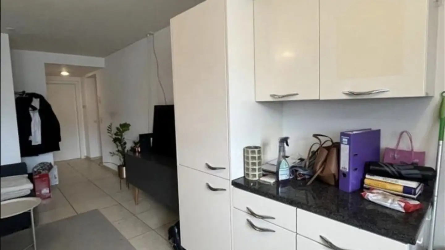 Apartment for rent - Wändhüslenstrasse 8, 8608 Bubikon - Photo 2