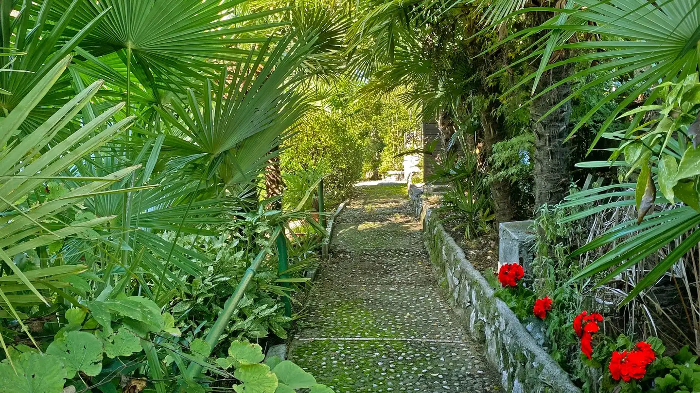 Terreno edificabile in vendita - 6834 Morbio Inferiore - Foto 3