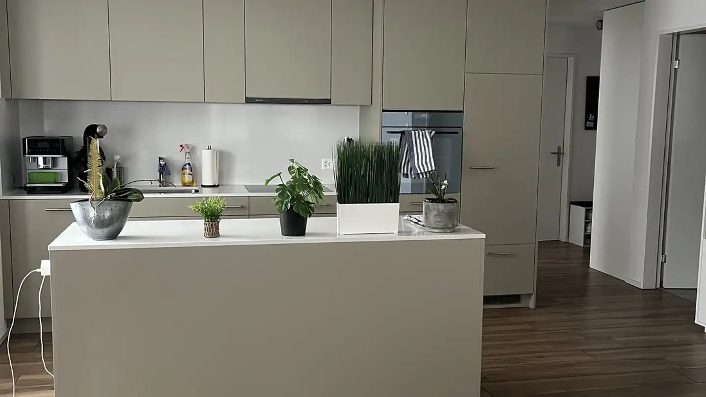 Apartment for rent - 8910 Affoltern am Albis - Photo 4