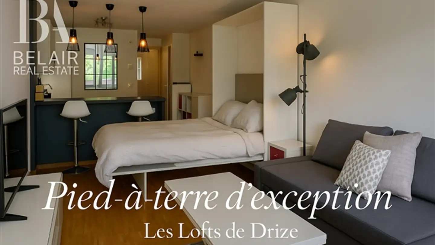 Wohnung kaufen - 1256 Troinex