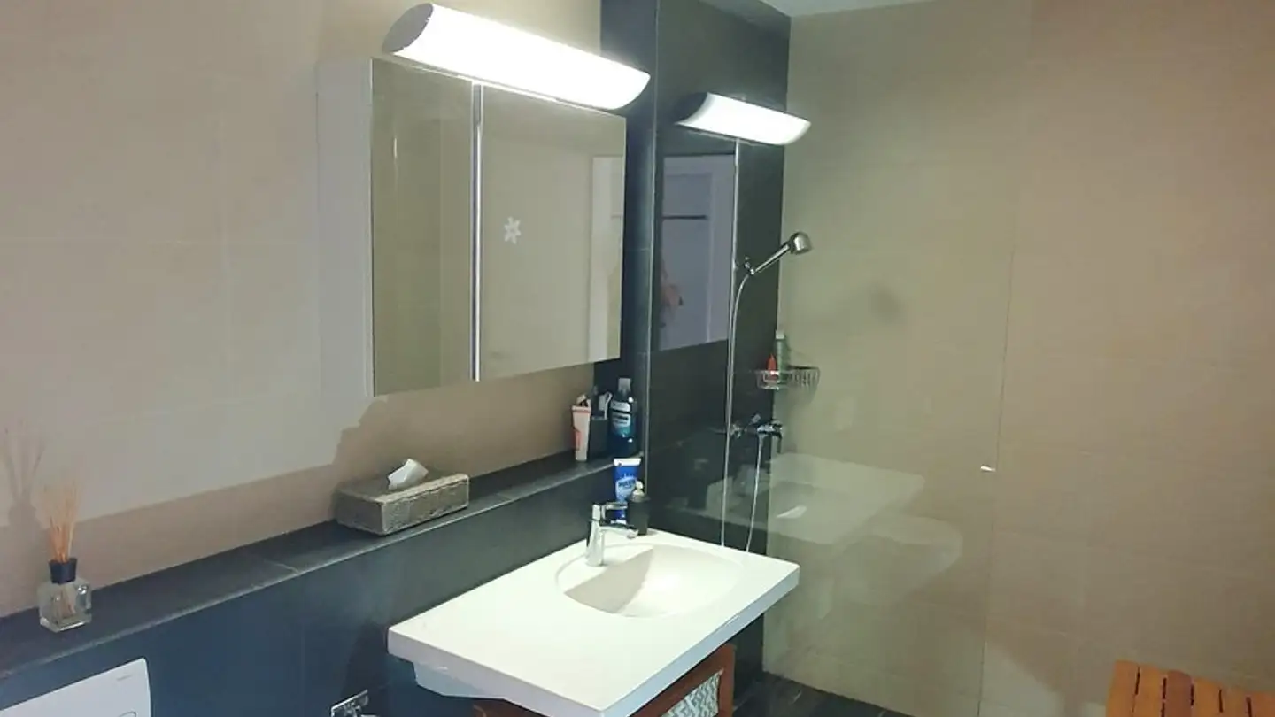 Appartamento ammobiliato in affitto - 6010 Kriens - Foto 3