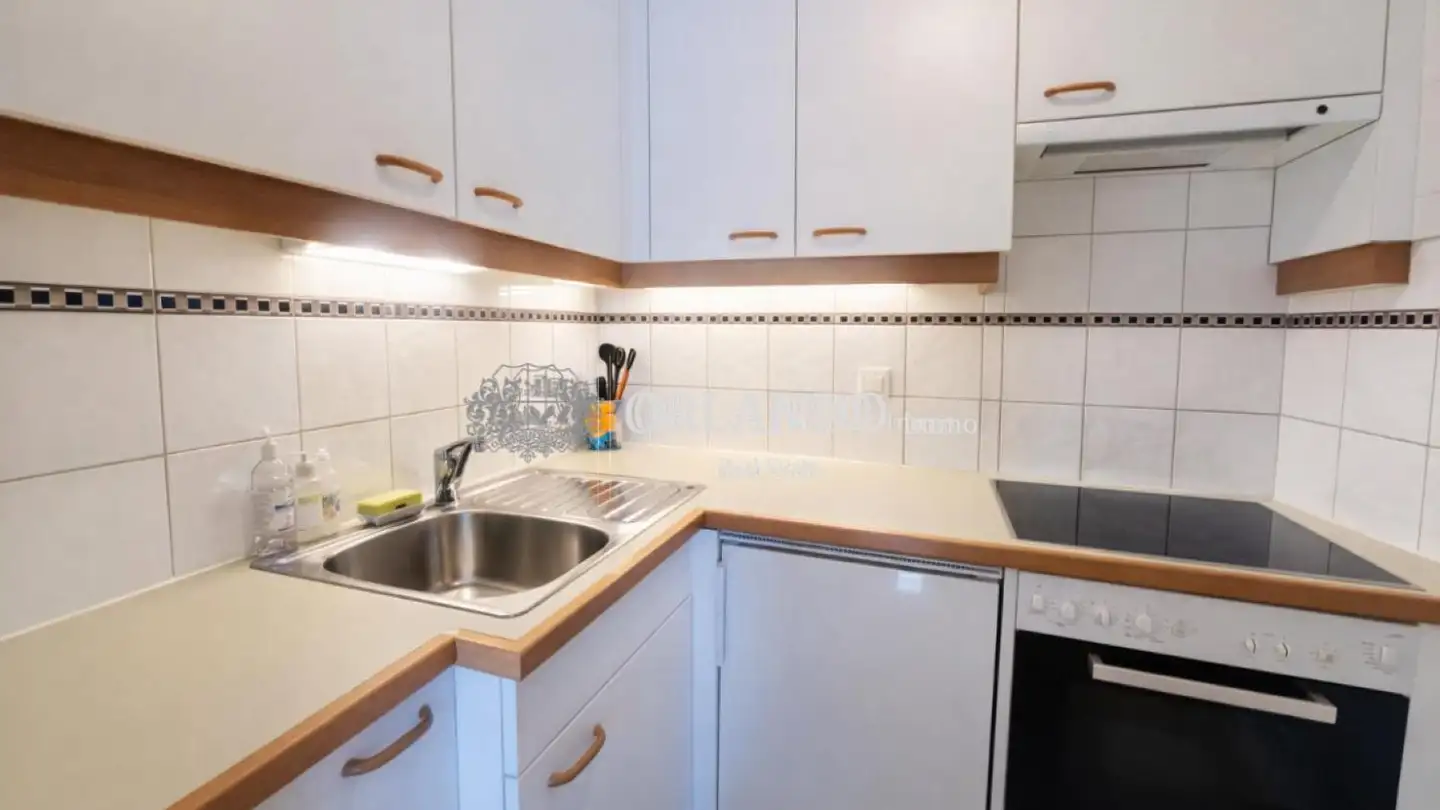 Furnished apartment for rent - Rue Ancienne, 1227 Carouge GE - Photo 4