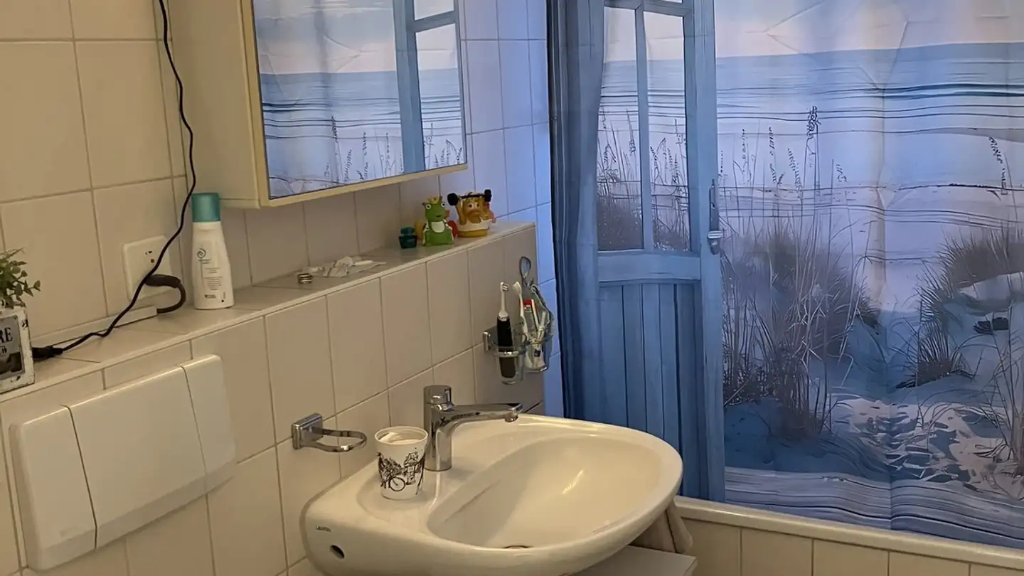 Appartamento in affitto - Wildbachstrasse 12, 4500 Solothurn - Foto 3