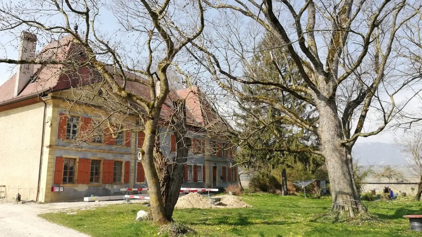 Apartment for rent - Chemin Du Suchet 37, 1350 Orbe