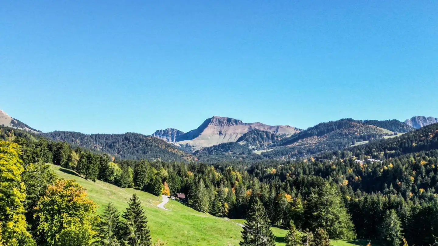 Single house for rent - Route De La Frasse, 1618 Châtel-St-Denis - Photo 4