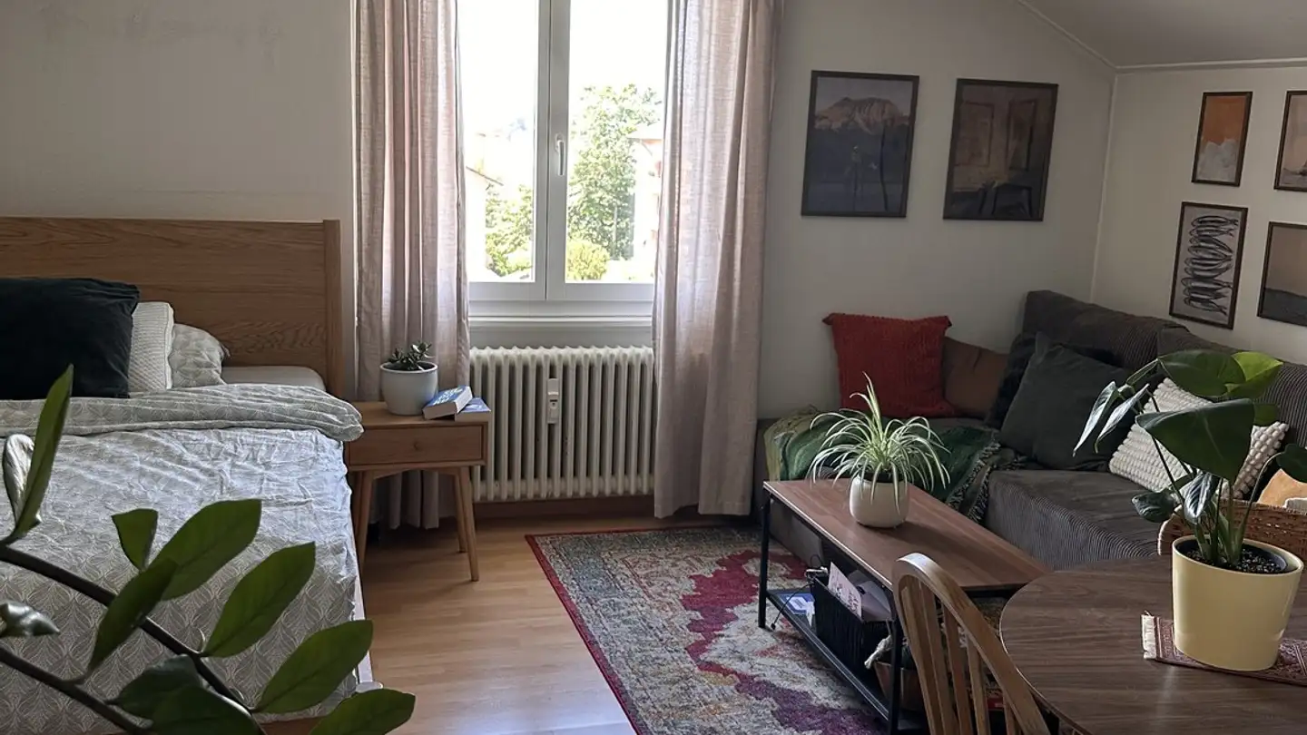 Wohnung mieten - Elfenaustrasse 34, 6005 Luzern