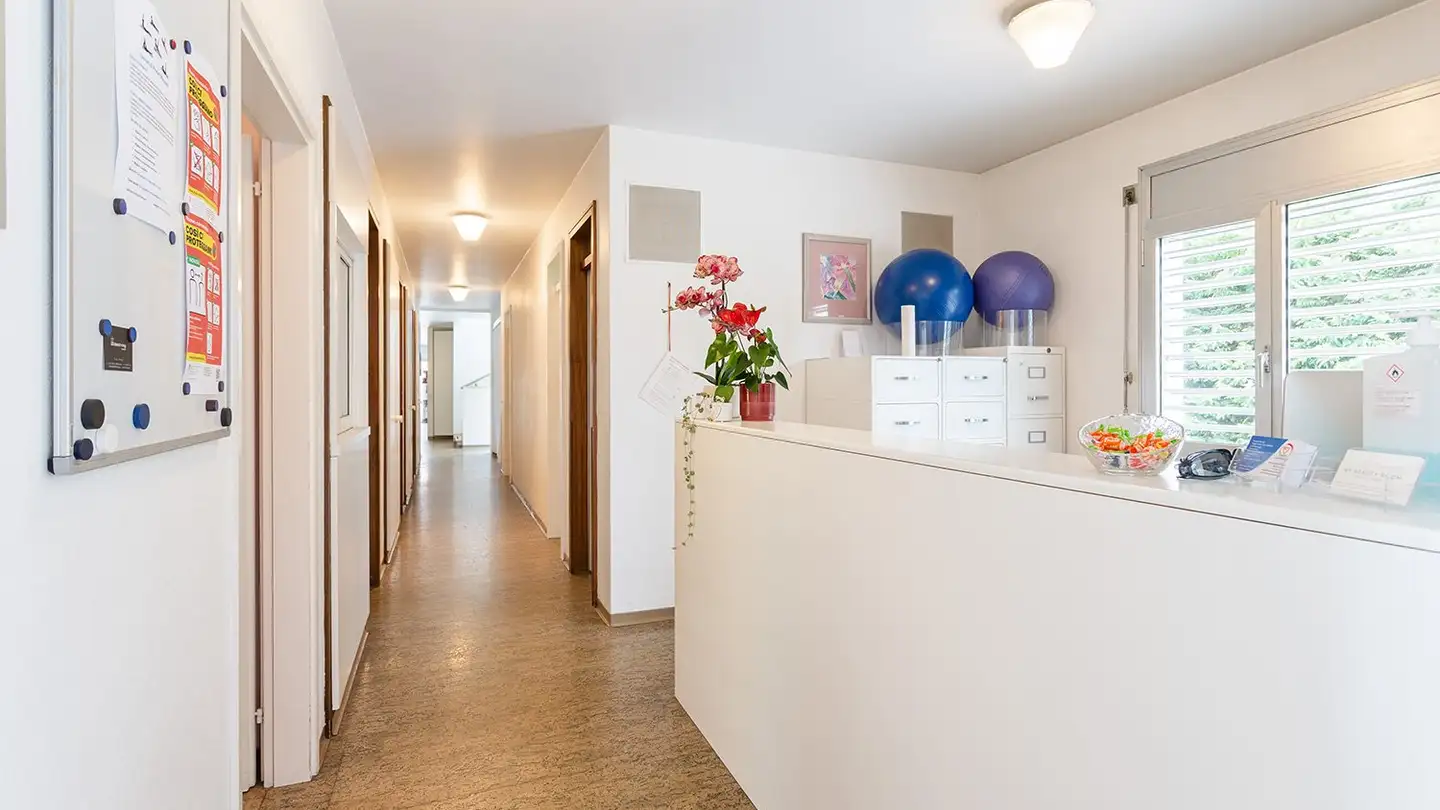 Grande magazzino in affitto - Strada Della Brima 6, 6612 Ascona