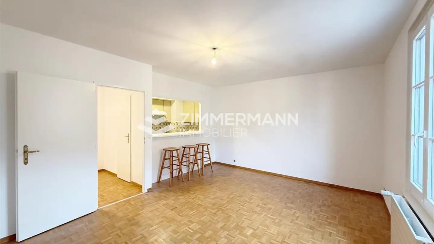 Appartamento in affitto - Rue Jacques- Dalphin, 1227 Carouge GE