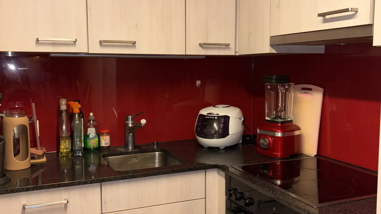 Appartement à louer - Käpfnerweg 13, 8810 Horgen - Photo 2