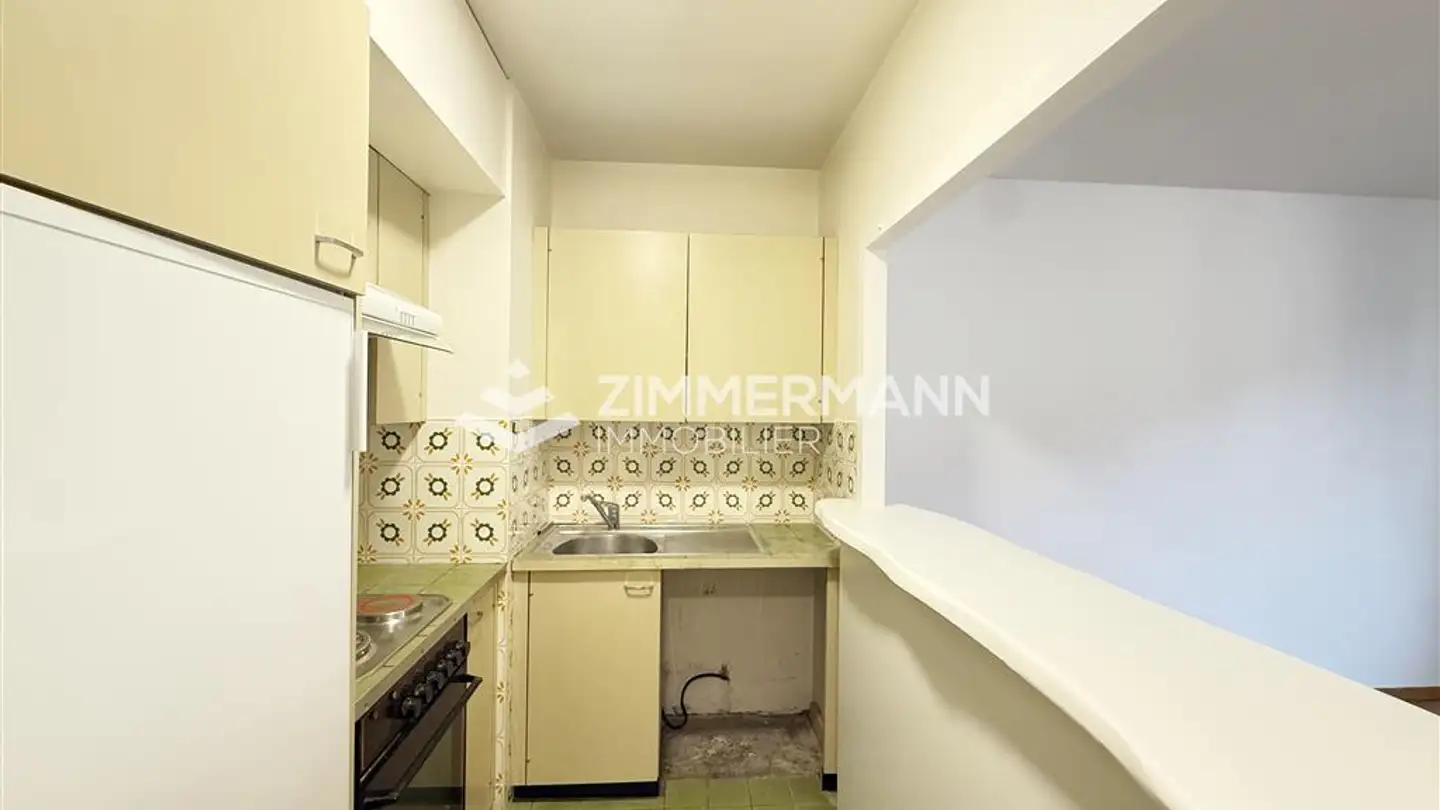 Appartamento in affitto - Rue Jacques- Dalphin, 1227 Carouge GE - Foto 3