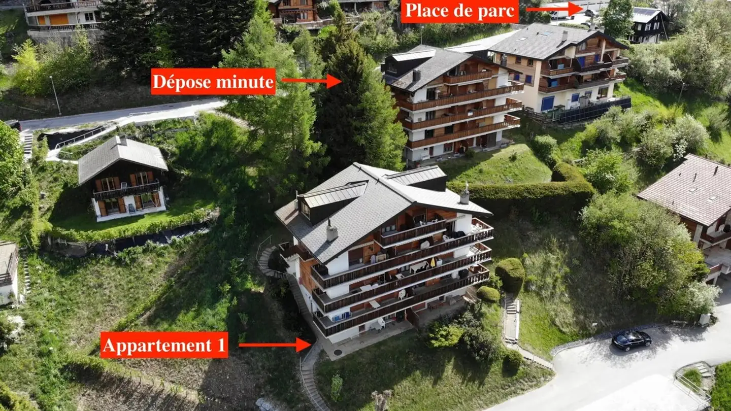Appartement à vendre - Chemin Des Biolles 30, 1911 Ovronnaz