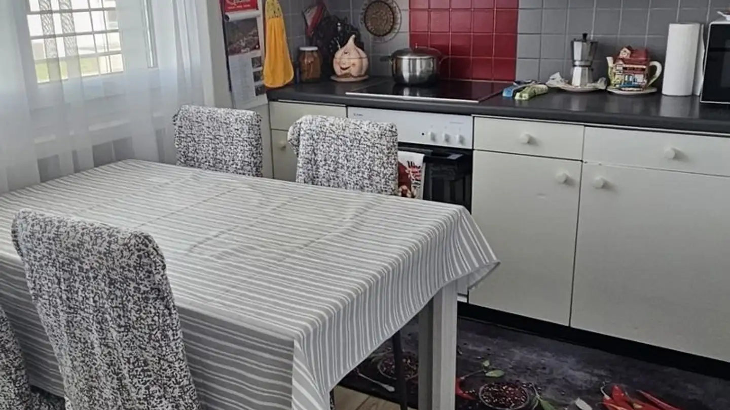 Appartement à louer - Via Chiosso 5, 6572 Quartino - Photo 3