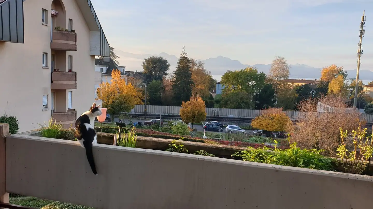 Appartement à louer - Avenue Des Roses 3, 1009 Pully