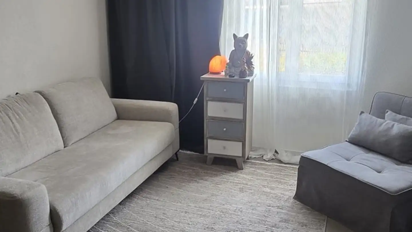 Möblierte Wohnung mieten - 9500 Wil SG