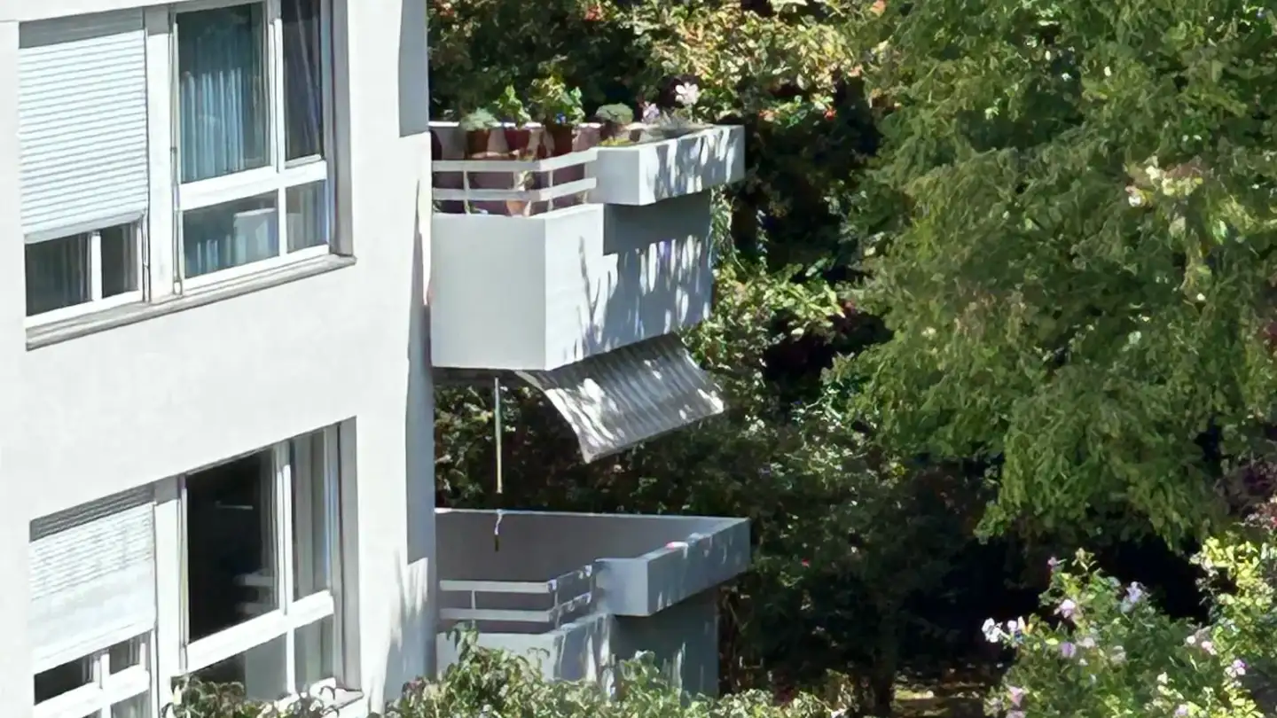 Apartment for rent - Birkenweg 11, 4102 Binningen