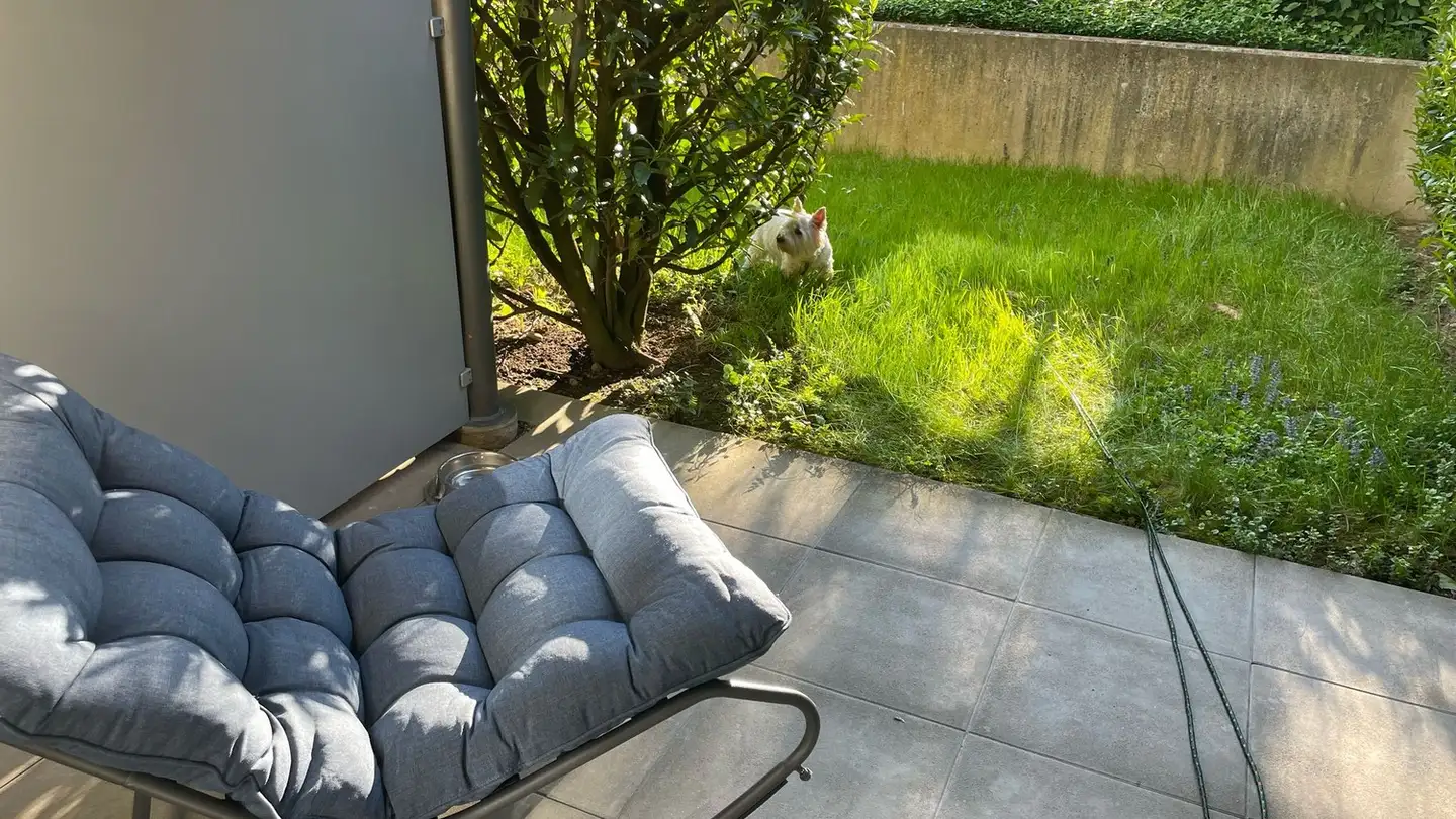 Apartment for rent - 8910 Affoltern am Albis - Photo 3