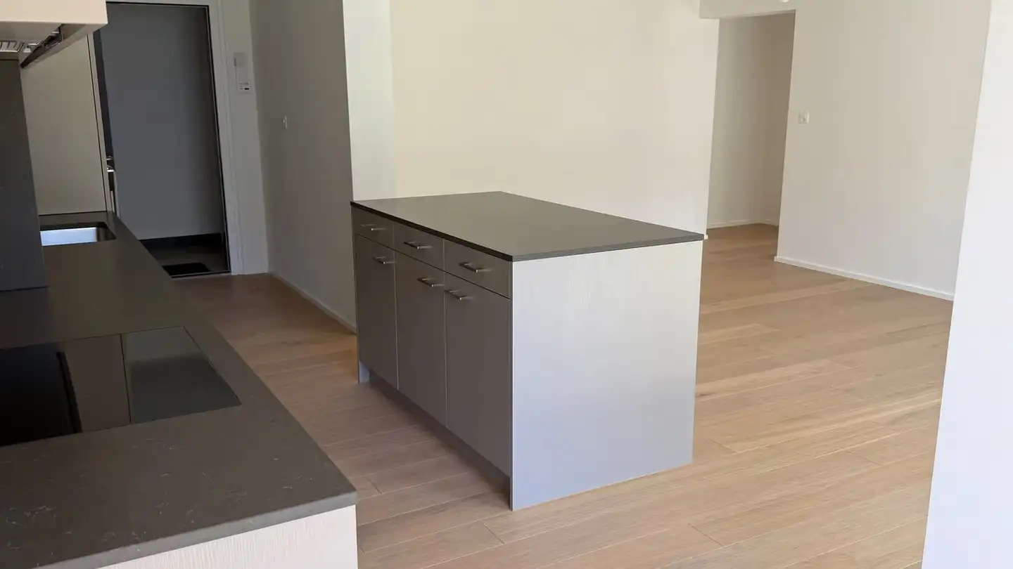 Appartamento in affitto - Lehenstrasse 49, 8037 Zürich - Foto 3