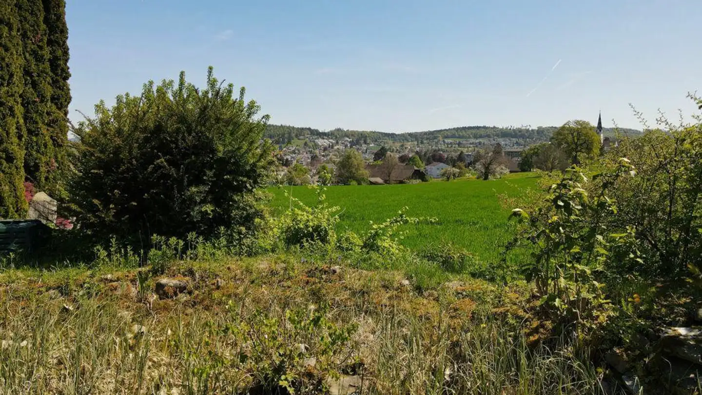 Maison individuelle à vendre - Heinimoosstrasse 27, 5734 Reinach AG - Photo 4