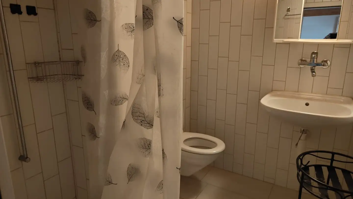 Studio for rent - Hauptstrasse 51, 8637 Laupen ZH - Photo 3