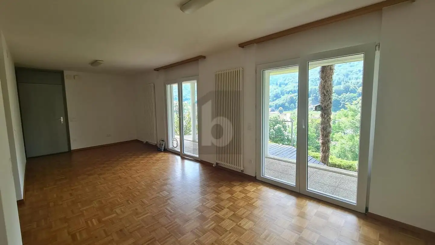 Single house for sale - Via Monteggio, 6998 Monteggio - Photo 2