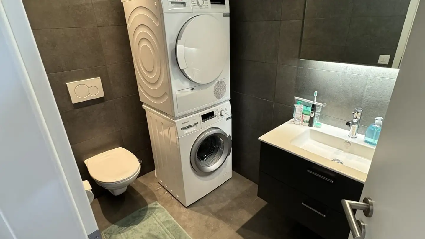 Appartamento in affitto - Allée De La Petite Prairie, 1260 Nyon