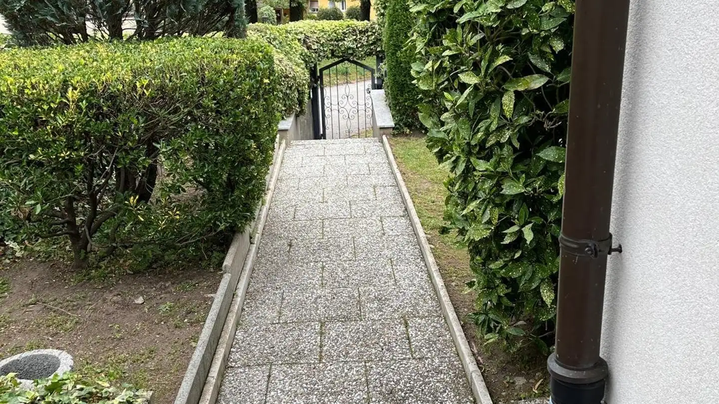 Casa singola in affitto - 6804 Bironico - Photo 4